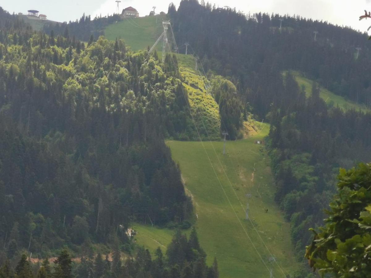 Pension Condor Poiana Brasov Exteriör bild