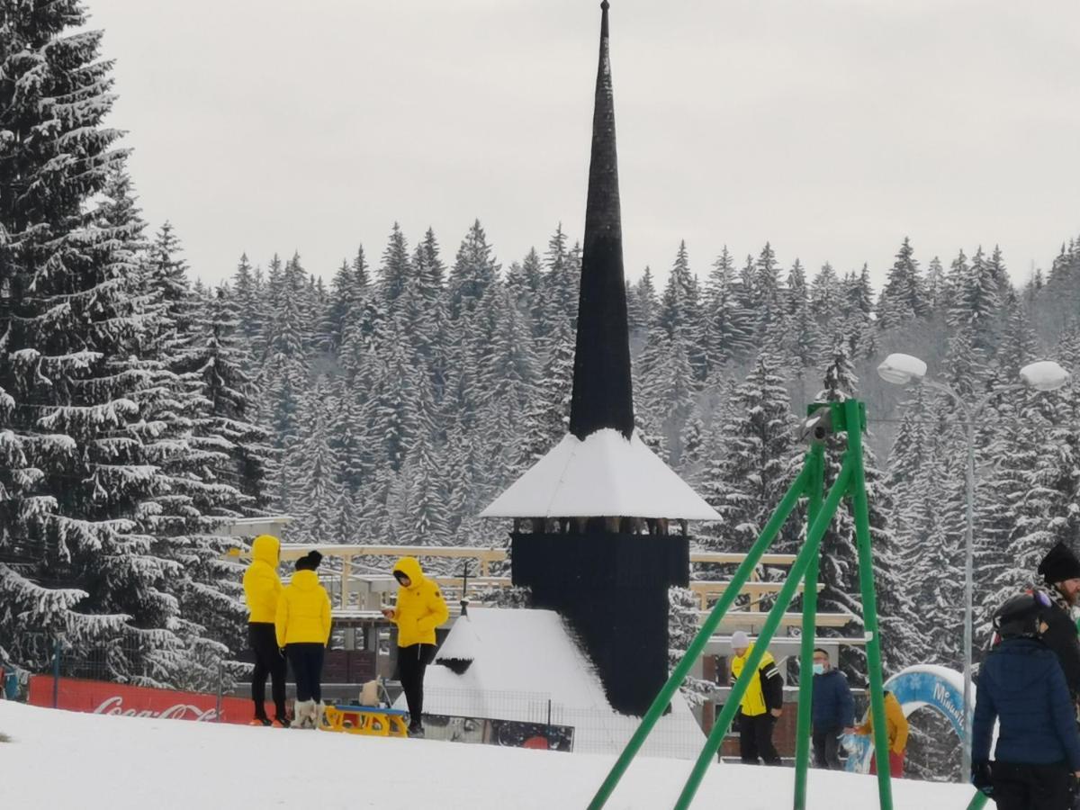 Pension Condor Poiana Brasov Exteriör bild