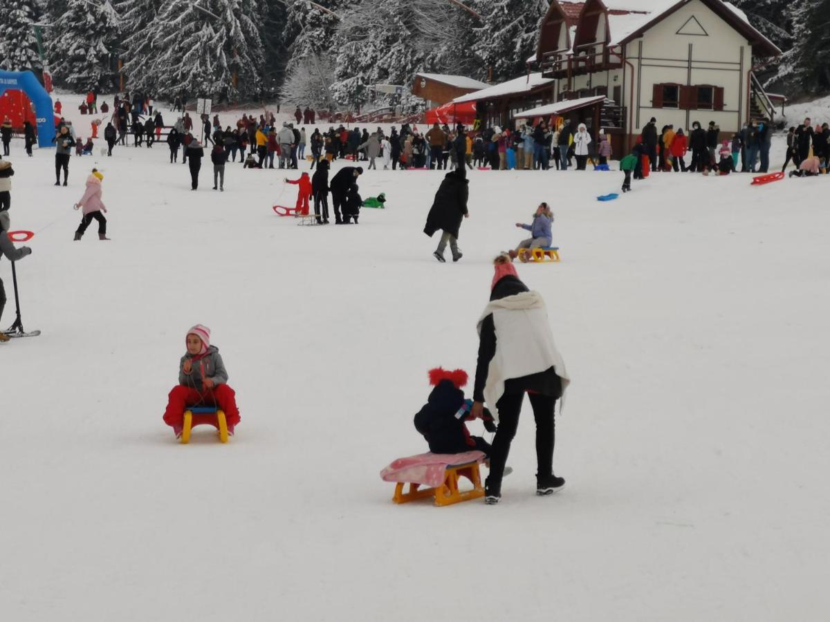 Pension Condor Poiana Brasov Exteriör bild