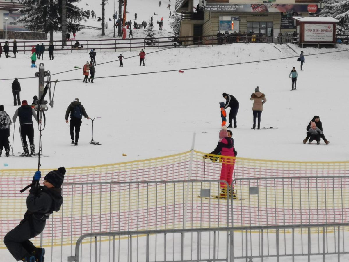 Pension Condor Poiana Brasov Exteriör bild