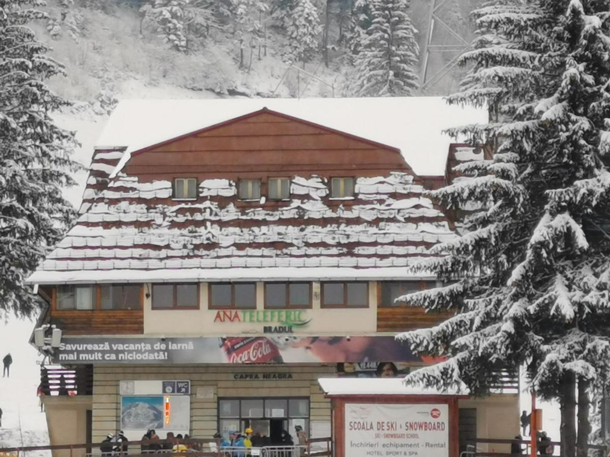 Pension Condor Poiana Brasov Exteriör bild