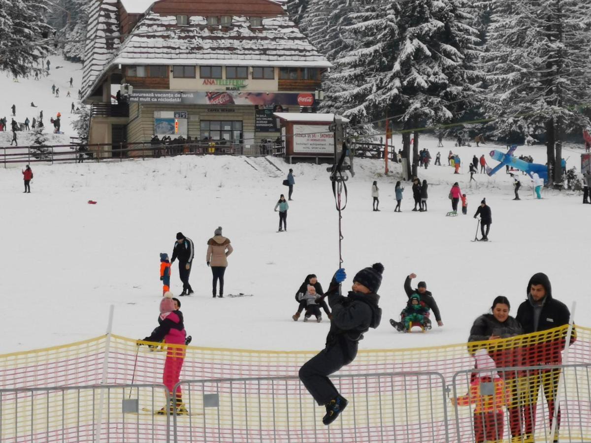 Pension Condor Poiana Brasov Exteriör bild