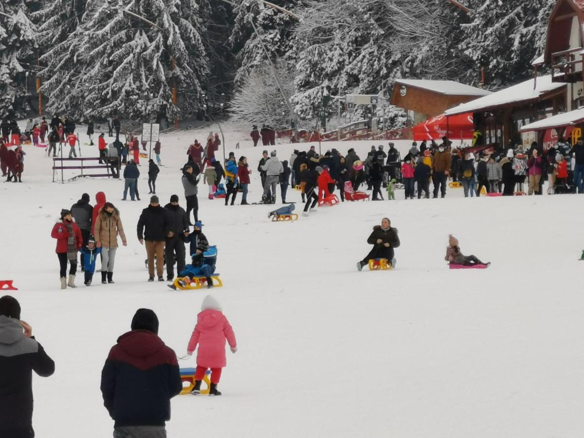 Pension Condor Poiana Brasov Exteriör bild