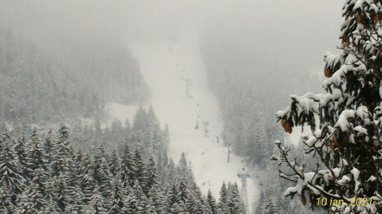 Pension Condor Poiana Brasov Exteriör bild